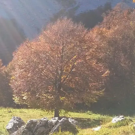 Il Vicoletto Frühstückspension Alfedena