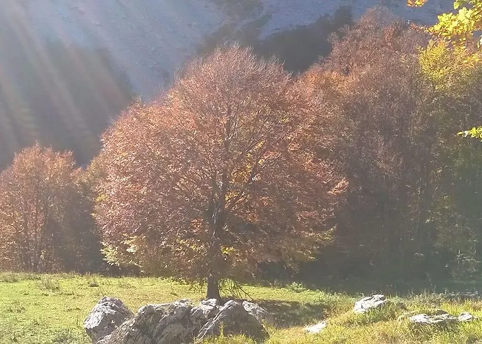 Il Vicoletto ベッド・アンド・ブレックファスト アルフェデーナ