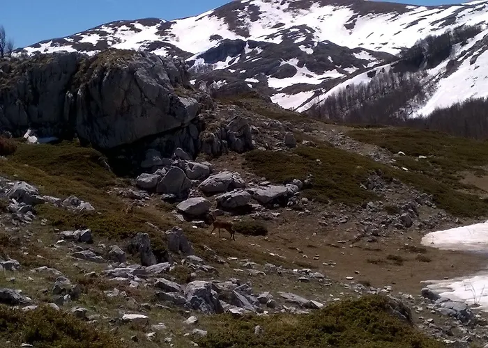 ベッド・アンド・ブレックファスト Il Vicoletto 3*